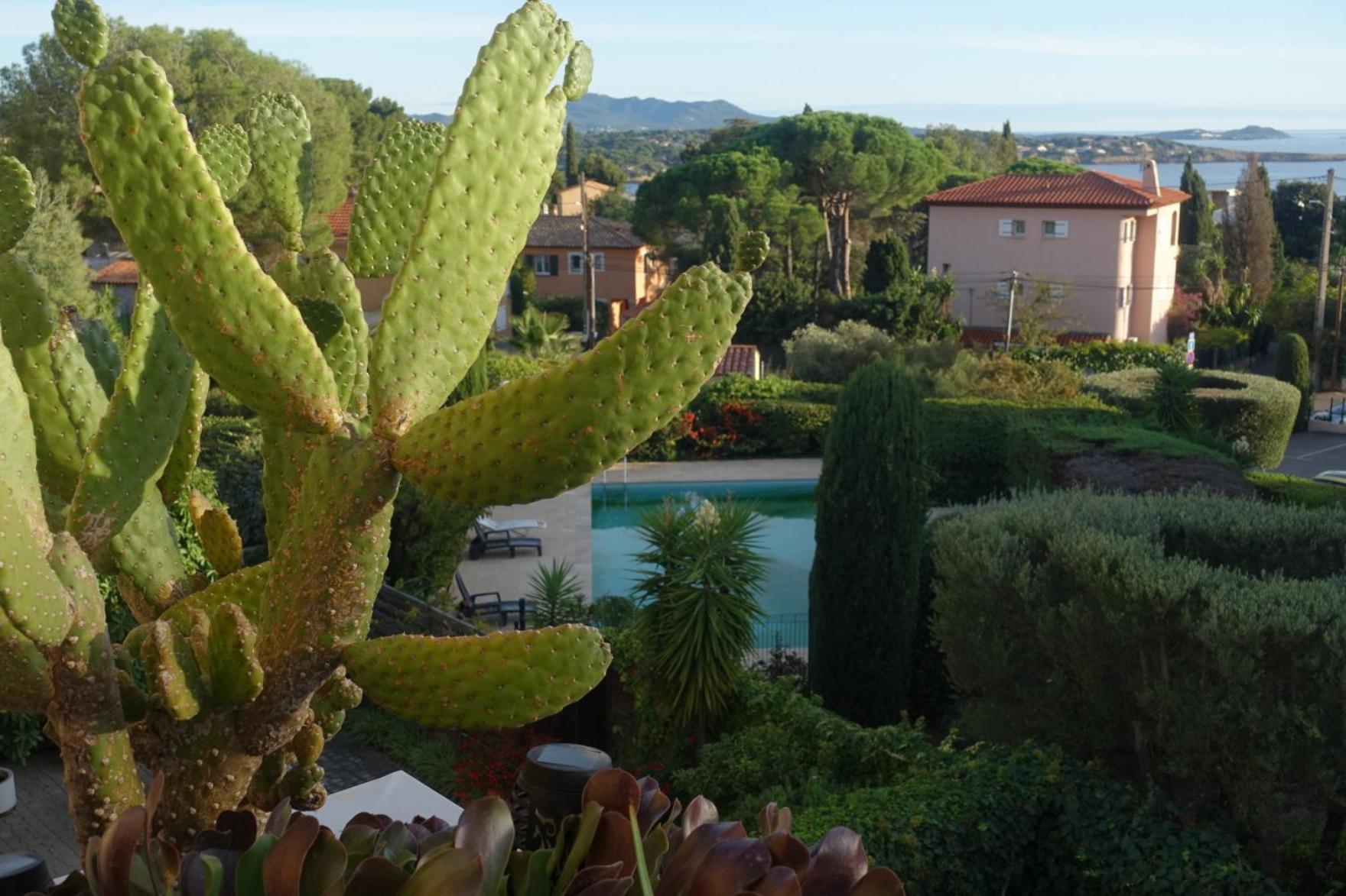 Les Jardins De Bandol, Piscine Privee, Belle Vue Mer Экстерьер фото